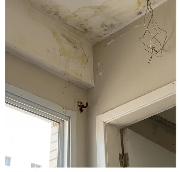 Infiltração e mofo no teto antes do tratamento de restauração